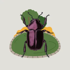 Hotel Insectos
