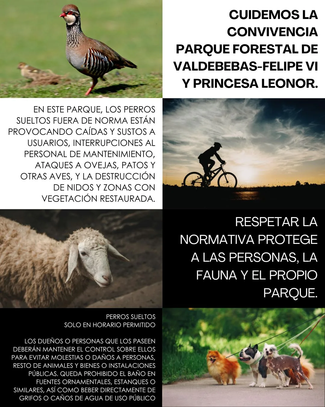 imagen que habla de la normativa que protege de los perros sueltos en los parques