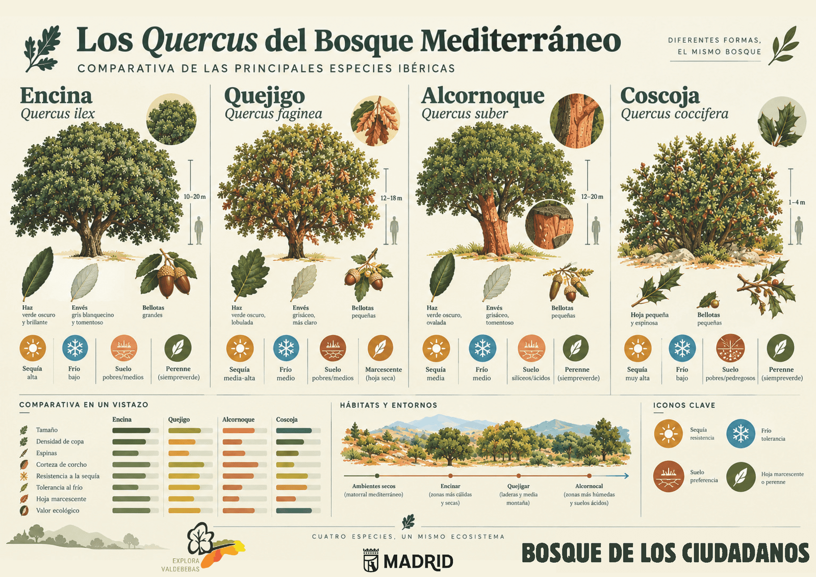 Comparativa de especies del Bosque de los Ciudadanos