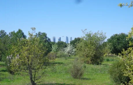 vista general del parque