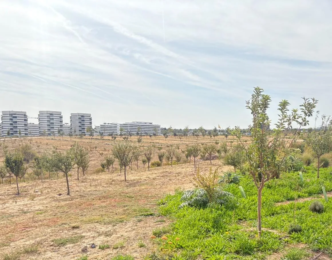 Vista aérea del Parque de Valdebebas